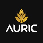 auric Coupons and Promo Code