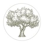 art & olive Coupons and Promo Code