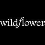 Wildflower Cases Coupons and Promo Code